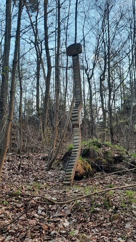 Reichenbach P10 (Premiumwanderweg)