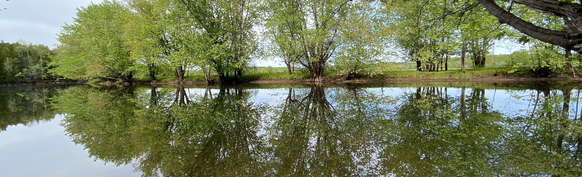 Hammond River Nature Trail Map, Guide New Brunswick, Canada AllTrails