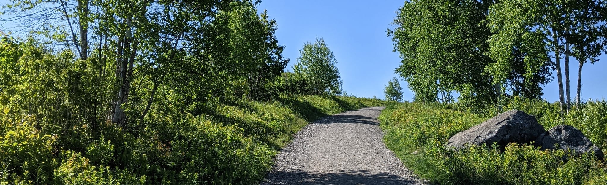 Beech Hill Summit Road Trail 371 Reviews, Map Maine AllTrails