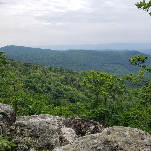 Best Hikes and Trails in Basye | AllTrails