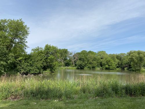 Best Hikes and Trails in Anna and Frederick Douglass Park | AllTrails