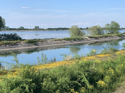 Landshamer Moos Rundwanderung
