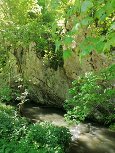 Zur Burg Reichenstein entlang dem Wolfstal