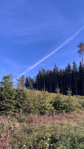 Grubethaus und Bernbacher Wald ab Aichach