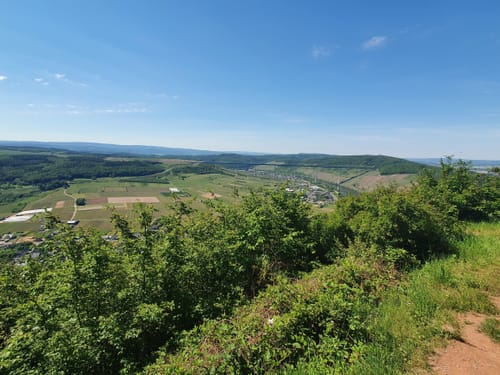 Moselsteig Etappe 12: Ürzig - Traben-Trarbach