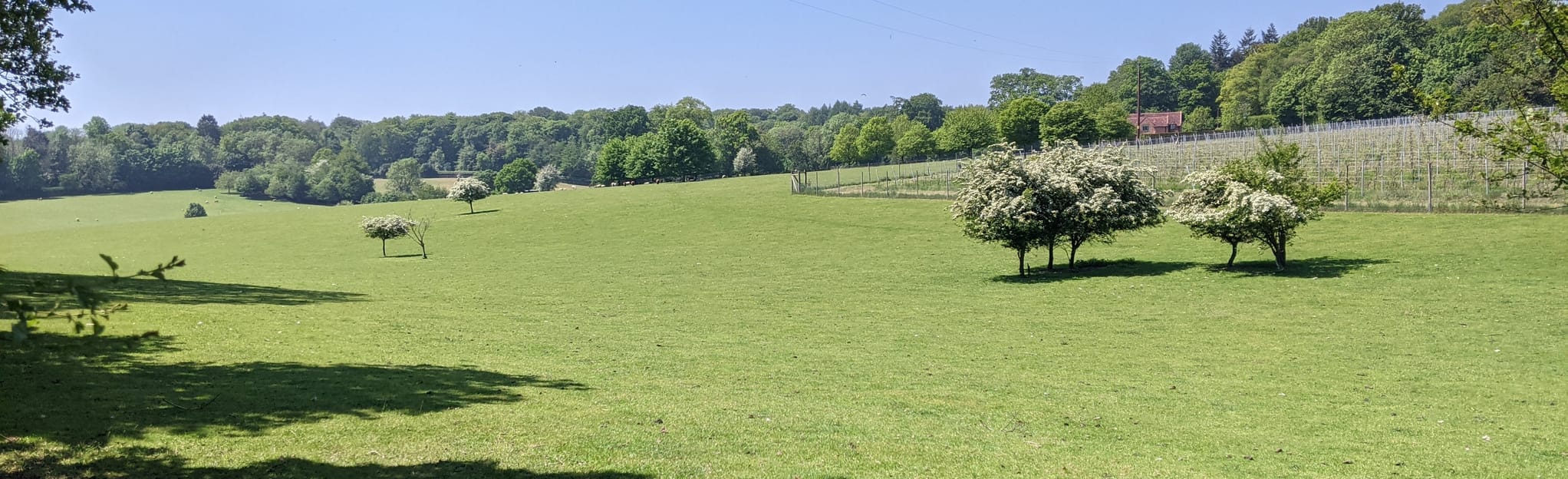Gallowstree Common Circular, Oxfordshire, England - 63 Reviews, Map ...