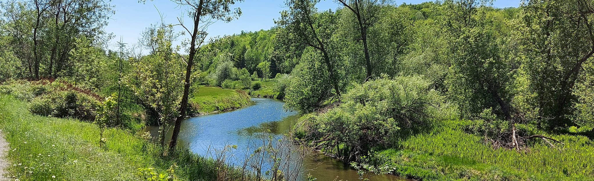 Sentier Tomifobia depuis Ayer's Cliff Quebec, Canada AllTrails