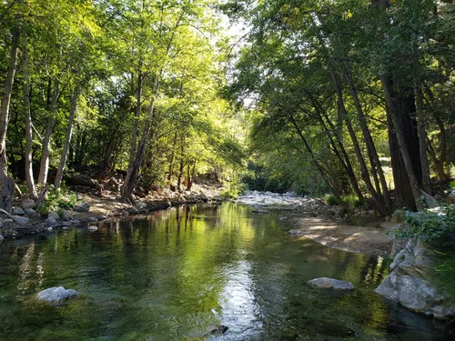 Pfeiffer state 2024 park hikes