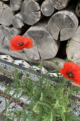 Vom Rauhen Kapf über Holzgerlingen