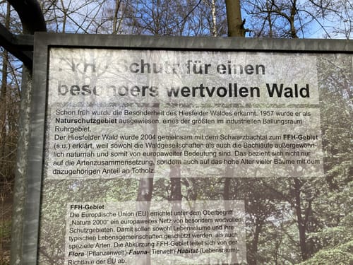 Rotbach Rundweg A6