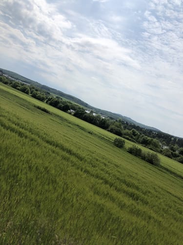 Aartalsee Panoramaweg (Extratour)