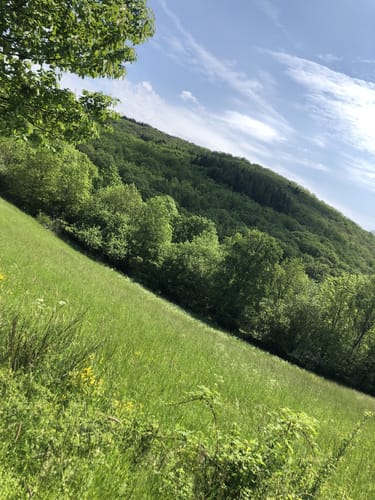 Aartalsee Panoramaweg (Extratour)