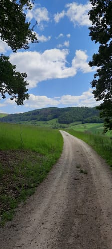 Keltenweg E: Ebensfeld - Rund um das Prächtinger Pferdchen