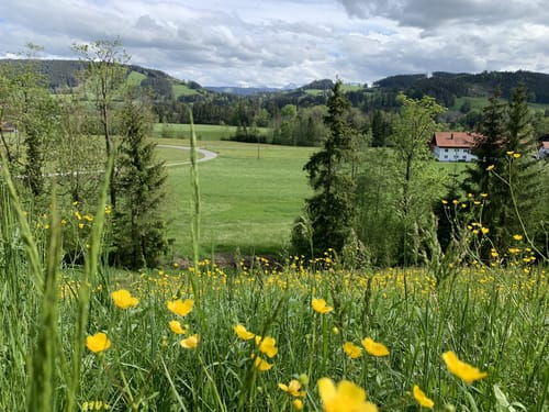Kleine Runde bei Maierhöfen