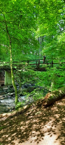 Holzbachschlucht - Westerburg - Rennerod