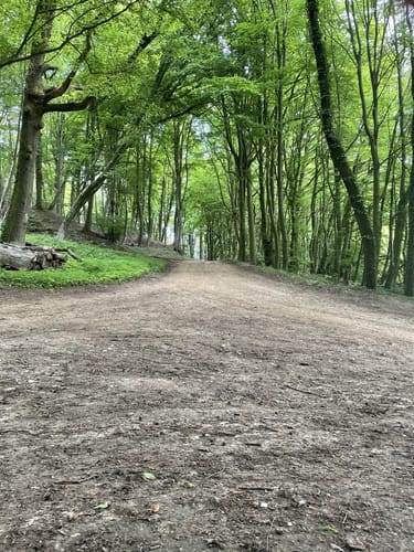 Haller Rundweg A5