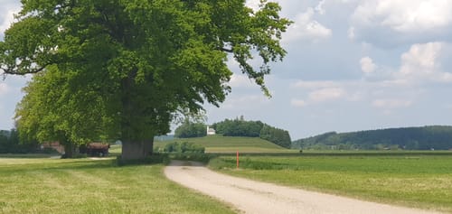 Ascholdinger Rundweg