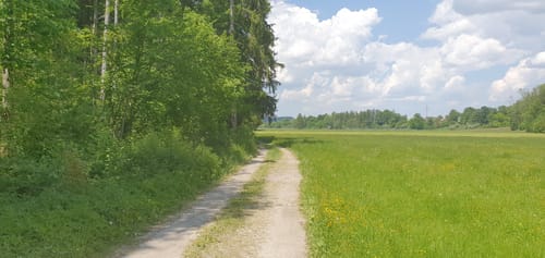 Ascholdinger Rundweg
