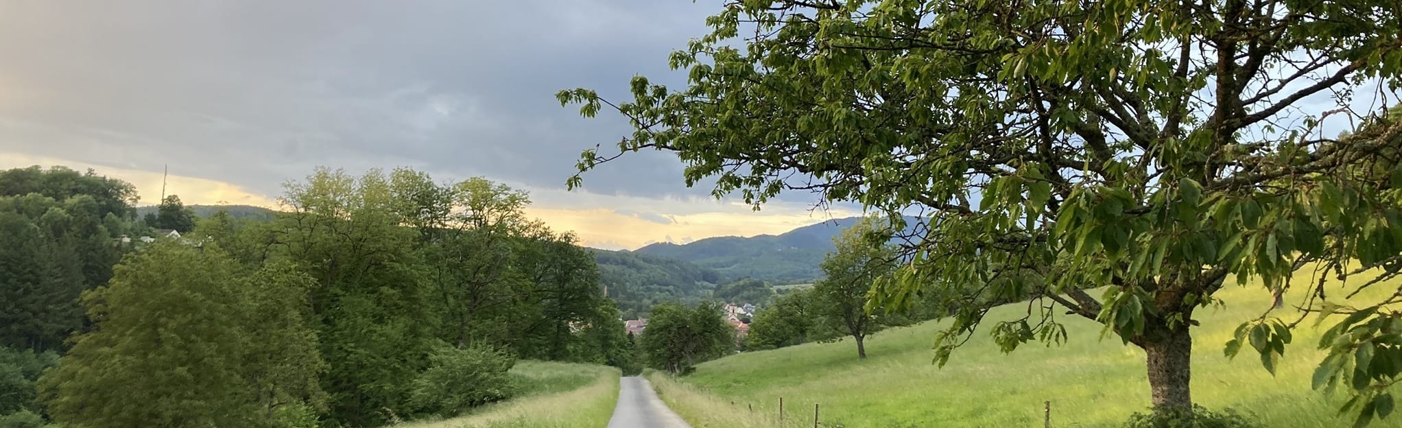 Wollbach Hammerstein Kandern 12 Fotos BadenWürttemberg