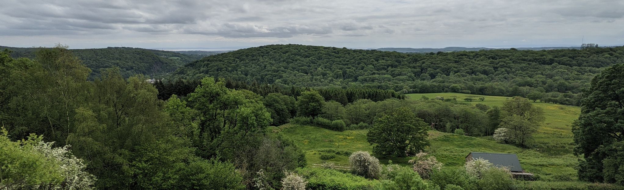 River Taff - Garth Mountain, Cardiff, Wales - 95 Reviews, Map | AllTrails