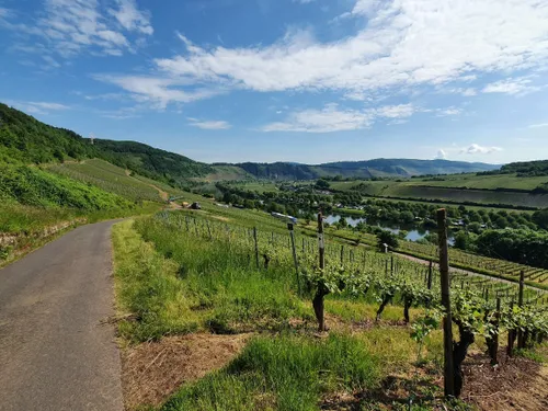 Best Hikes and Trails in Reil | AllTrails