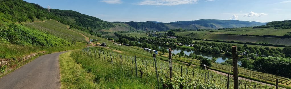 Moselsteig Trail Stage 14: Reil - Zell (Mosel): 13 Reviews, Map -  Rhineland-Palatine, Germany | AllTrails