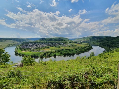 Moselsteig Etappe 14: Reil - Zell (Mosel)