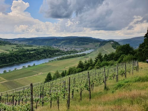"Horgar Pfad" rund um den Zeller Hamm