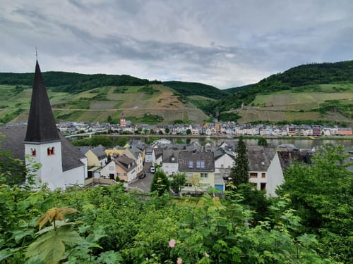 Moselsteig Etappe 14: Reil - Zell (Mosel)