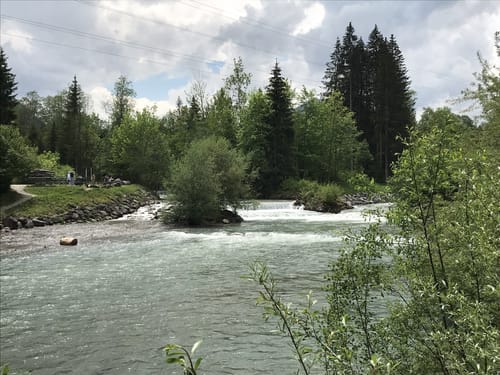 MTB-Tour: Toniskopf