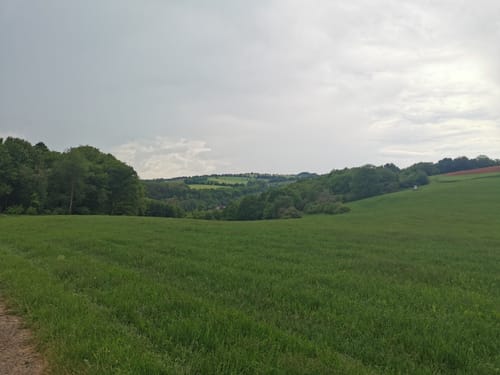 Premiumwanderweg: Vitaltour Schlossweg