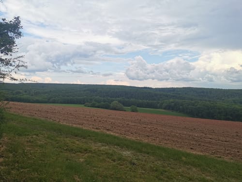 Premiumwanderweg: Vitaltour Schlossweg