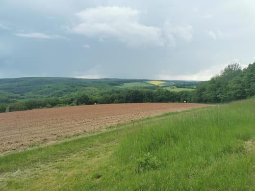 Premiumwanderweg: Vitaltour Schlossweg