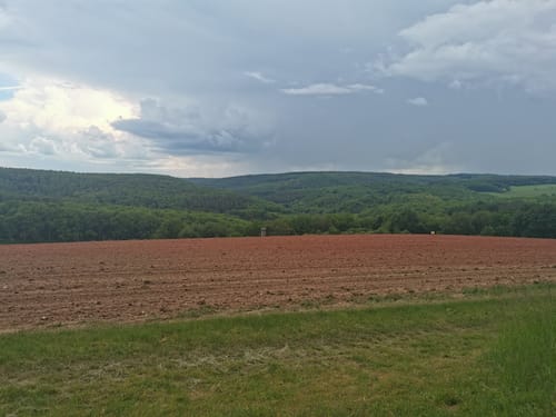 Premiumwanderweg: Vitaltour Schlossweg