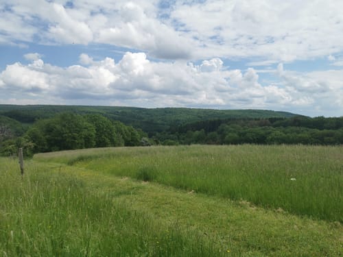 Premiumwanderweg: Vitaltour Schlossweg