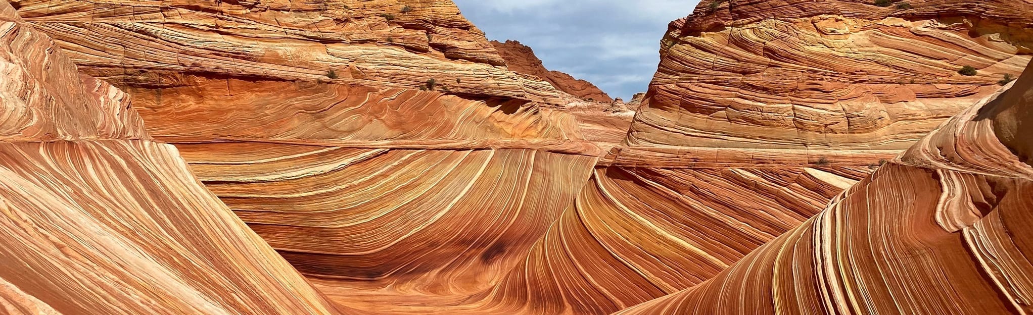 The Wave Trail, Utah 3,501 Reviews, Map AllTrails