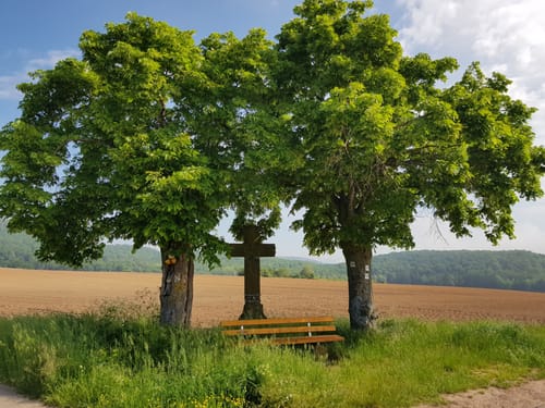 Quellenweg Heckenmünster