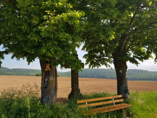 Quellenweg Heckenmünster
