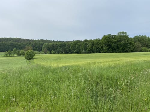 Trubachtalweg