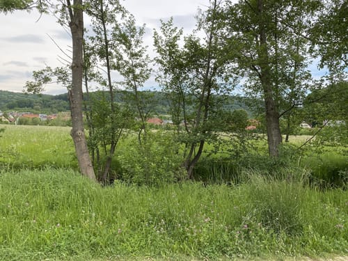 Trubachtalweg