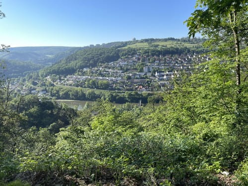 Ruppertsklamm Rundweg mit Rheinsteig