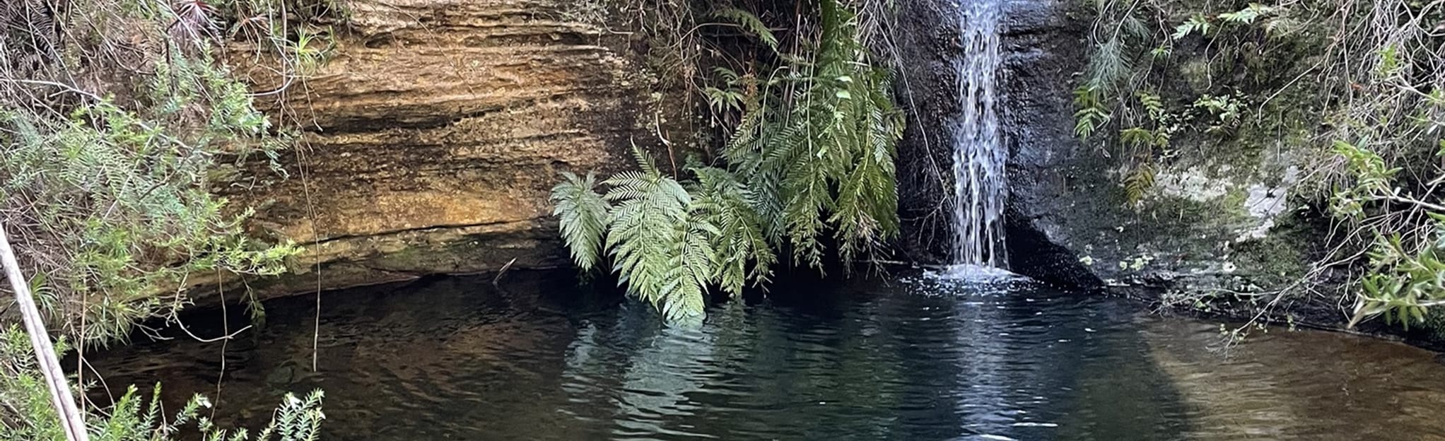 Colo Vale Trails, New South Wales, Australia 17 Reviews, Map AllTrails