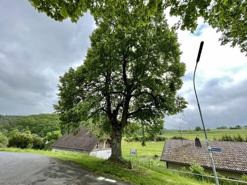 Themenrundweg Geschichtsstraße: Grenzen, Galgen und Geschichte
