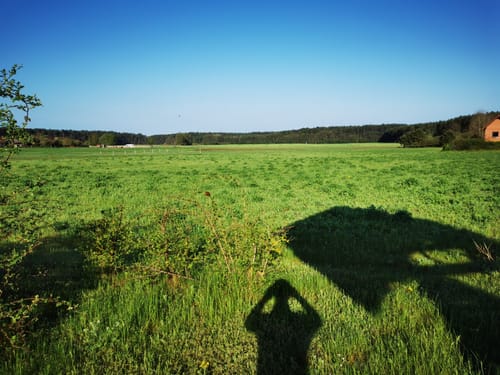 Durch den Nationalpark Müritz nach Neustrelitz