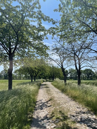 Berliner Mauerweg