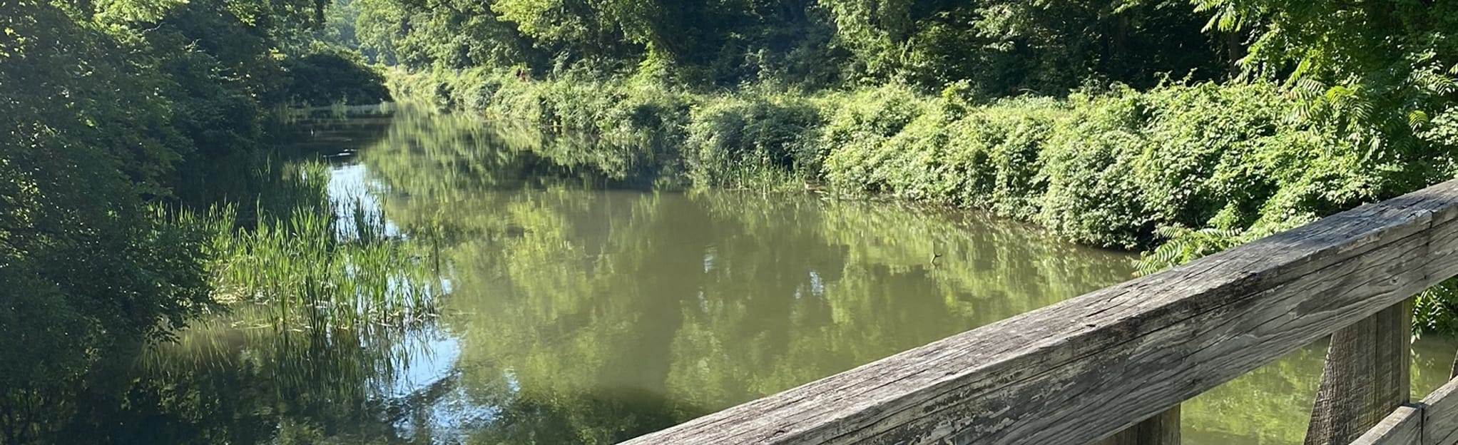 C & O Canal Trail Lock 6 to Fletchers Cove, Maryland 254 Reviews
