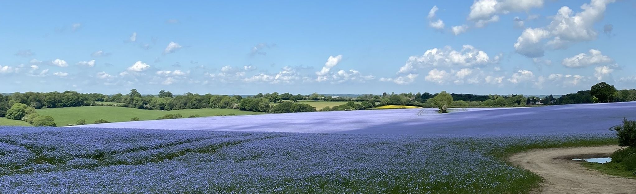 Chesham and Ley Hill Walk: 132 foto's - Buckinghamshire, Engeland ...