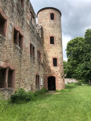 Von Gemünden am Main zur Ruine Schönrain