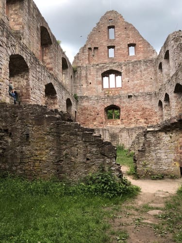 Von Gemünden am Main zur Ruine Schönrain