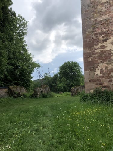 Von Gemünden am Main zur Ruine Schönrain
